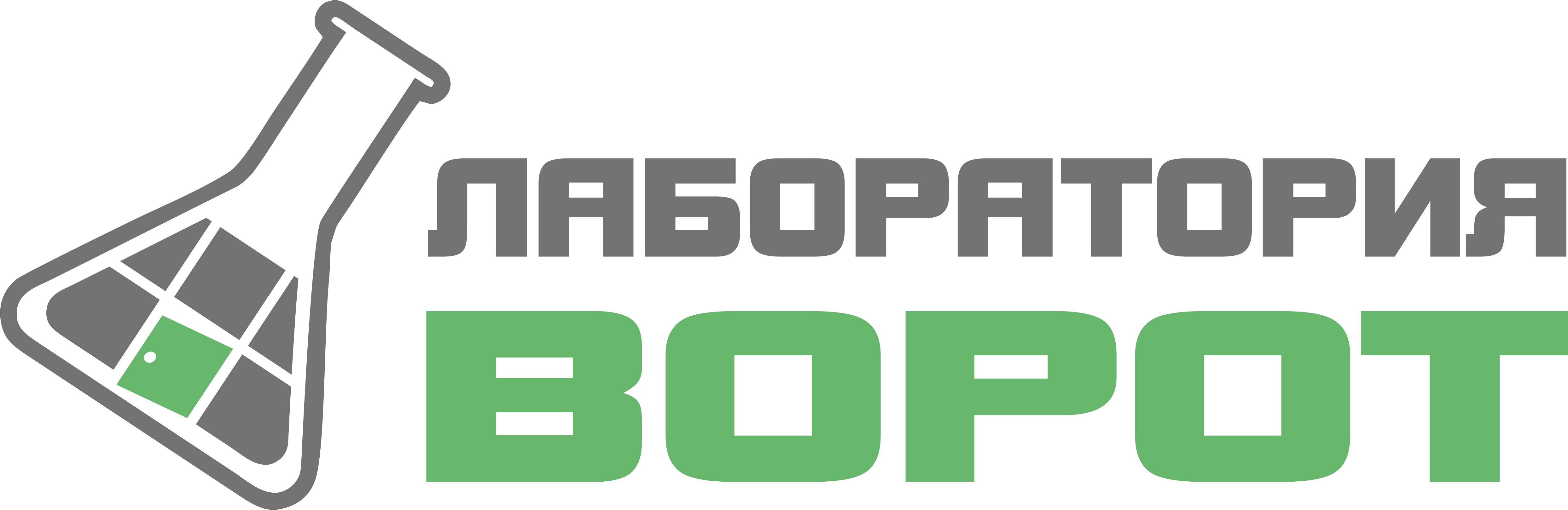 Лаборатория Ворот